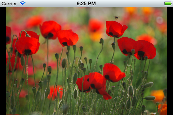 Flickr Flow iPhone landscape screenshot